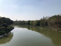 -海珠湖公园