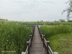 -嘉北郊野公园