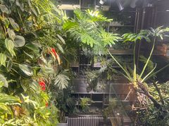 -森味薪火烧•烧鸟居酒屋•日本料理(望京店)