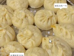 -田螺阿姨自营月嫂·育儿嫂(高新店)
