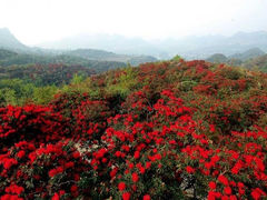 -小格里自然风景区