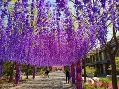 -大明幻境第一城