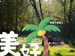 -上海共青森林公园