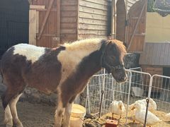 -HERRE·FARM 赫尔露营农场·团建聚会包场