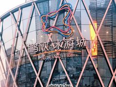 -鹏欣水游城