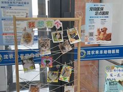 -派美特宠物医院·核磁CT·骨科肿瘤·疑难转诊(沈农禾丰店)
