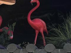 -宋徽厨·安徽菜(安庆绿地店)