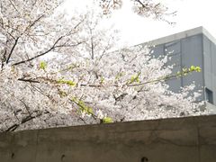 -龙美术馆(西岸馆)