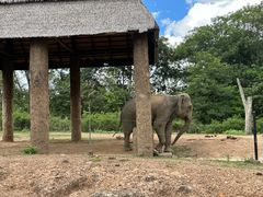 -清迈夜间动物园