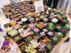 -茶马花街(城西银泰城店)