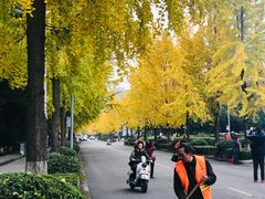 -四川大学(望江校区)