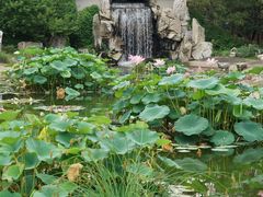 -国家植物园南园