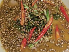 -杨氏青龙虾·羊蝎子(托乐嘉店)