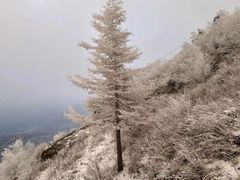 -灵山