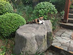 -静安公园(静安寺街道)