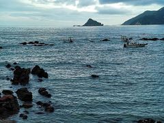 -西涌国际滨海旅游区