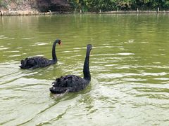 -无锡动物园·太湖欢乐园