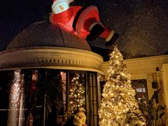 -弦月窗LUNETTE BY AMANDA(复兴路店)