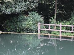 -成都市活水公园