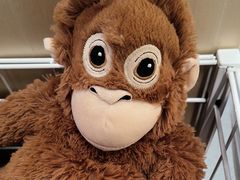 -宜家家居(四元桥商场店)