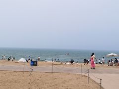-日照海滨国家森林公园