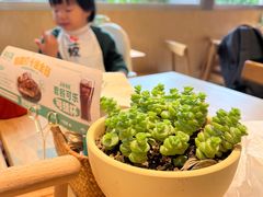 -龙治汉堡(中华城店)