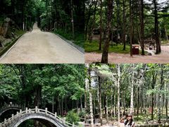 -洛阳白云山景区