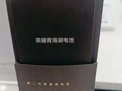 -荣耀授权专卖店(黄浦浙江中路店)