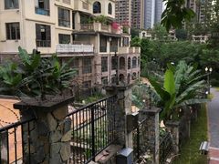 -重庆彩云湖湿地公园