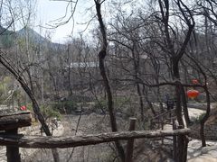 -井塘古村