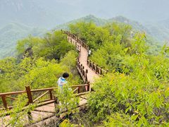-大岭沟猕猴桃谷风景区