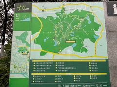 -火炉山森林公园