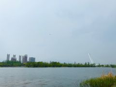 -永定河休闲森林公园