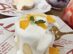 -共舞时光猫咖·狗咖(新街口店)