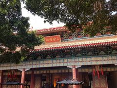 -广东圆玄道观