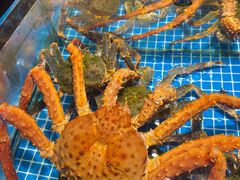 -连鹭海鲜·海肠捞饭·海胆饭(星海店)