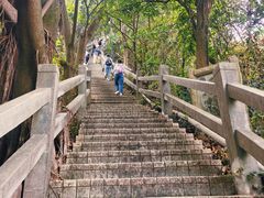 -广州市白云山风景名胜区