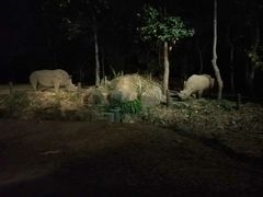 -清迈夜间动物园