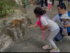 -南湾猴岛+椰田古寨一日游