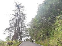 -白云山风景名胜区