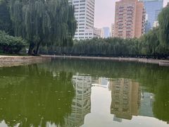 -团结湖公园