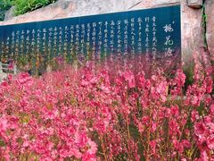 -桃花涧
