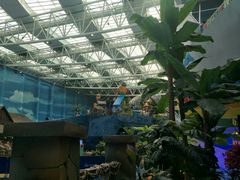 -青岛东方影都融创水世界