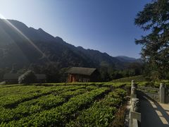 -姑婆山旅游区