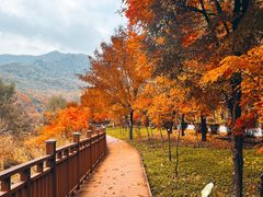 -三块石国家森林公园