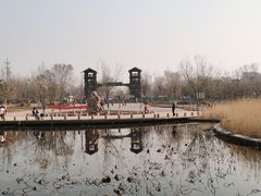 -绿堤公园