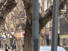 -喜茶(上海淮海中路渔阳里店)