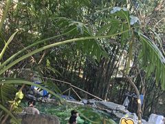 -湖泉半山温泉(湖泉生态园)