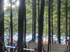 -武陵山森林公园