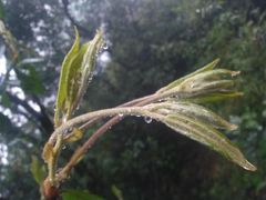 -金堂县云顶石城风景区
